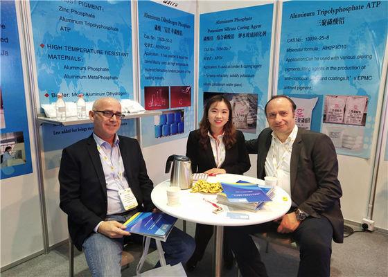 Antirust Paints Chemical Zinc Phosphate Powder With High Purity